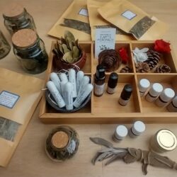 Plateau plantes médicinales